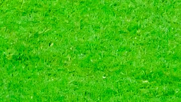 Jonathan "Cabecita" Rodríguez