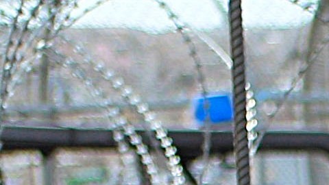 Inmigrantes cruzan a Estados Unidos para que una corte de inmigración revise sus casos de asilo.