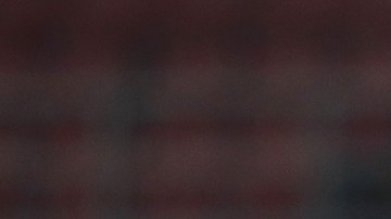 Conte celebra junto a sus jugadores una victoria decisiva.