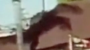 Captura de pantalla del momento exacto en el cual el hispano es atropellado.
