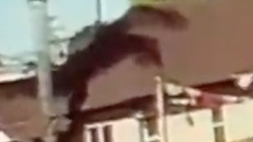 Captura de pantalla del momento exacto en el cual el hispano es atropellado.