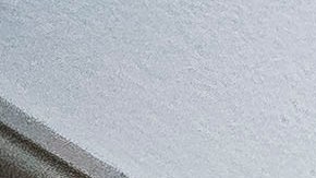 Bandera tras y cartel tránsfobo en oficinas del Capitolio