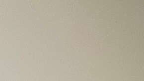 María Luisa Luna Cervantes y Lorenzo Romero, un amor que traspasa fronteras. (Paulina Herrera/cortesía)