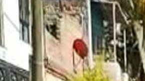 Matan a 5 jovencitos, una mujer entre ellos en territorio del CJNG