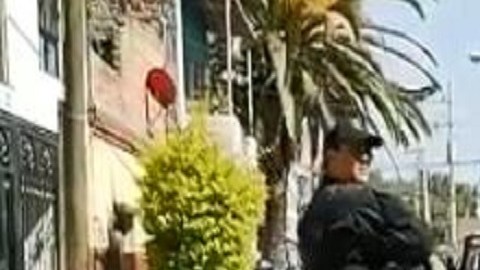 Matan a 5 jovencitos, una mujer entre ellos en territorio del CJNG