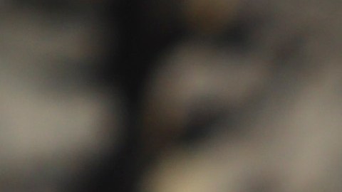 Mónica Vergara hará su debut al frente de la selección.
