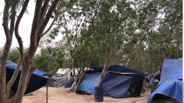 Rescatan a 49 migrantes indocumentados en Tamaulipas que se encontraban en un campamento instalado en un terreno.