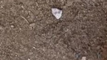 En Egipto encontraron momias con lenguas de oro.