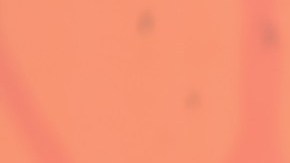 Natalia es la hija mayor de Kobe y Vanessa.