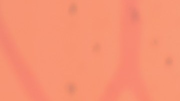 Natalia es la hija mayor de Kobe y Vanessa.