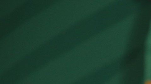 El presidente mexicano anuncia la llegada de 1 millón de vacunas de AstraZeneca que se aplicarán a adultos mayores y maestros.