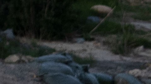 Patrulla Fronteriza de San Diego en la frontera