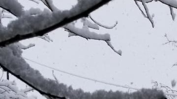 El norte de México registra nevadas históricas que ya han cobrado la vida de 20 personas.