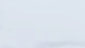 Parte de las 20,000 libras de drogas que fueron incautadas.