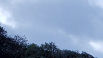 El tramo de la autopista que se derrumbó.