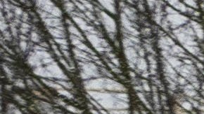 La gran tormenta de nieve causó temperaturas extremas en el noroeste de Estados Unidos.