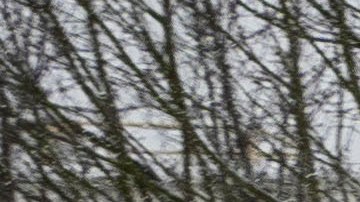 La gran tormenta de nieve causó temperaturas extremas en el noroeste de Estados Unidos.