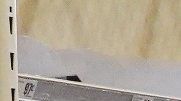 Un estante de botellas de agua vacío en un mercado en Austin, Texas.