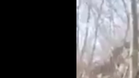 VIDEO: Ejército mexicano disparando contra sicarios del CJNG; este es el momento exacto