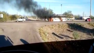 VIDEO: Sicarios queman autobuses en zona el Caro Quintero le pelea a los Chapitos