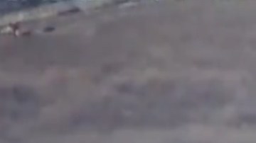 VIDEO: Trocas monstruo del CJNG entraron así  a zona donde después los derrotaron