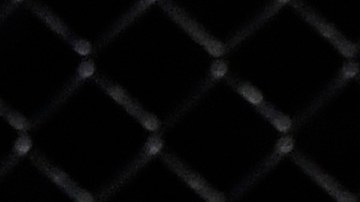 alexa grasso vs barber