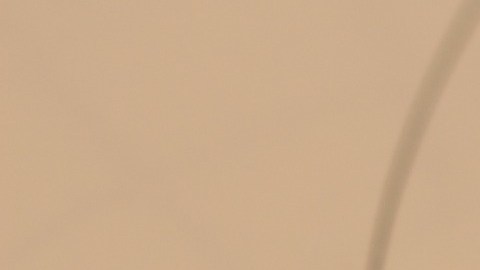 Una carta astral puede ser tratada de interpretar en cualquier momento, pero su mejor claridad surge a llegar a la edad adulta