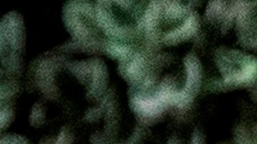 El gobernador de California, Gavin Newsom.