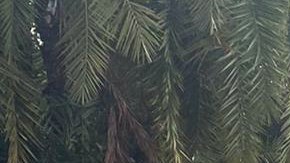 Bárbara Bermudo junto a su esposo, Mario Andrés y sus hijas