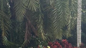 Bárbara Bermudo junto a su esposo, Mario Andrés y sus hijas