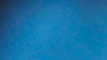 Tom Brady consiguió su título número 7 en el Super Bowl.