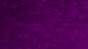 La luna tiene la energía suficiente para incidir en lo que soñamos.