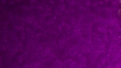 La luna tiene la energía suficiente para incidir en lo que soñamos.