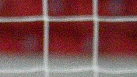 chivas necaxa