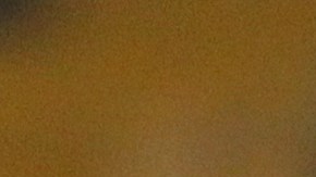 tigres palmeiras cuando es