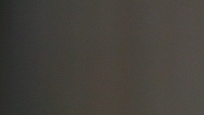 El gato de la suerte es uno de los símbolos de la prosperidad.