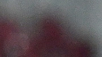 hans flick habla de tigres