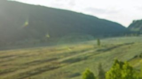 Tom Vanderbilt decidió pasar un año persiguiendo nuevas habilidades para sí mismo.