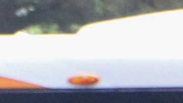 jonatahn suarez abuso sexual