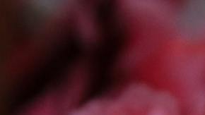 Consejos del Feng Shui para el Año del Buey.