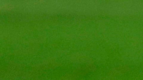 La imagen de Lionel Messi derrotado... un año más.