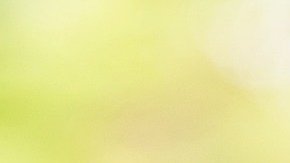 Auguran que el 2021 será un año próspero.