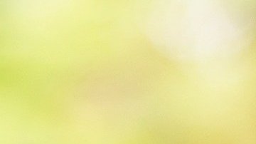 Auguran que el 2021 será un año próspero.