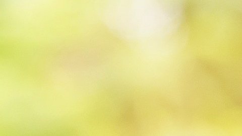 Auguran que el 2021 será un año próspero.