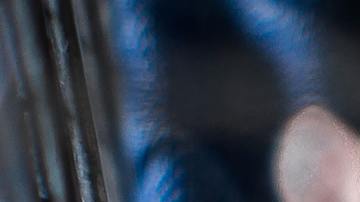 Las ratas representan algunos problemas, pero también buenos augurios.