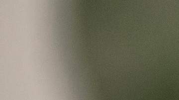 El geco se asemeja a un signo independiente y encantador.