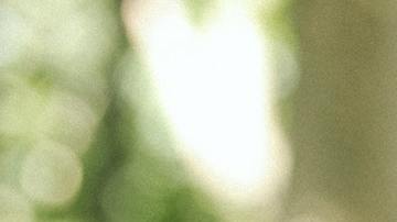 La astrología te ayuda a planear tu propuesta de matrimonio.