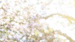 Recibe la energía de la primavera con estos rituales.