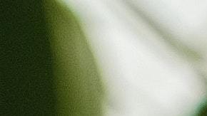 Las clases a distancia tienen un impacto negativo en los niños.