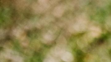 El dolor de una pérdida es difícil de superar